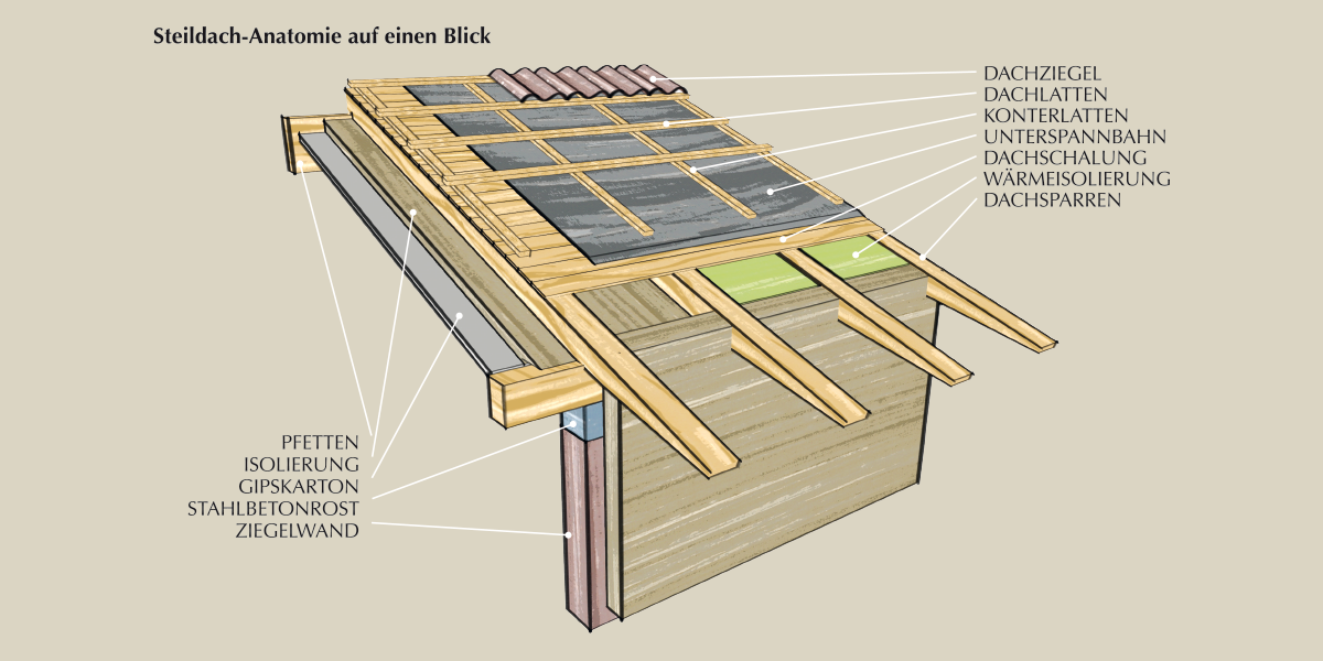 Steildach-Anatomie auf einen Blick