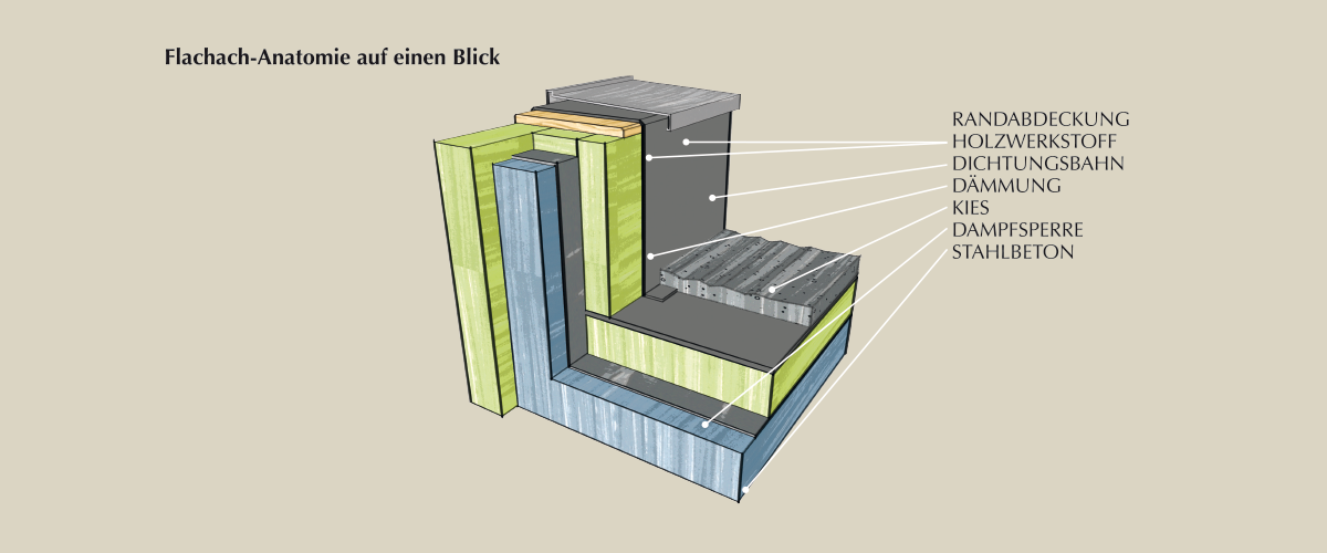 Flachach-Anatomie auf einen Blick